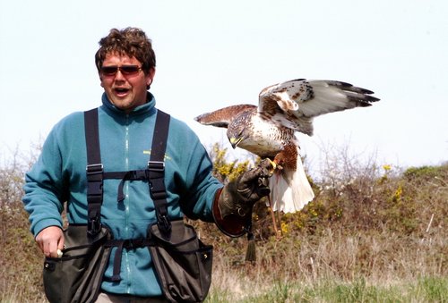 The Cornish Birds of Prey Centre