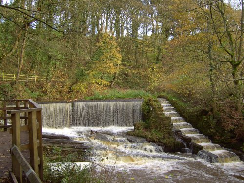 Drybones Weir, Yarrow Valley Country Park