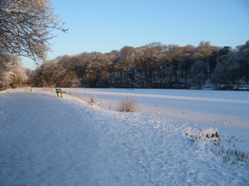 Yarrow Valley Country Park Lake
