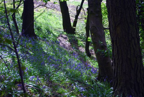 Clent Hills Country Park