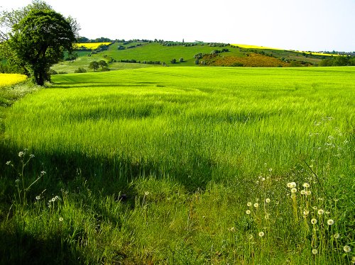 From Upper Whiston towards Ulley