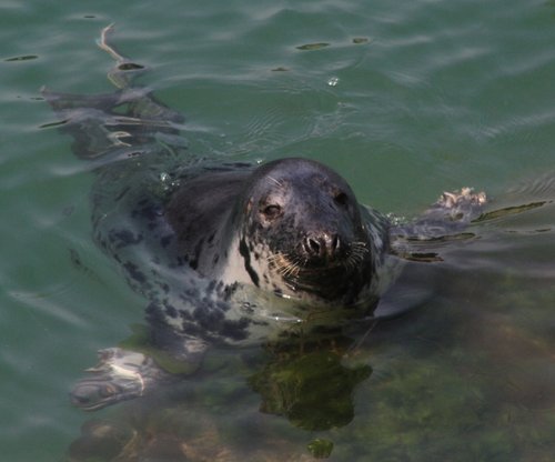 Taken along Brixham breakwater