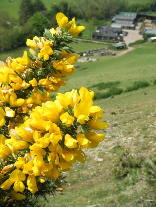 Exmoor National Park