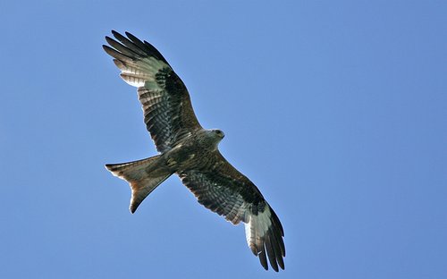 Watlington, Oxfordshire