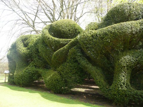 Hinton Ampner Garden