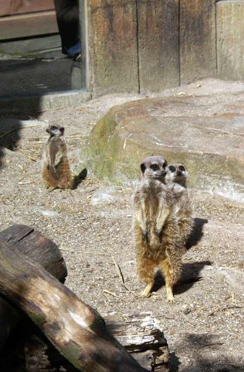 Exmoor National Park