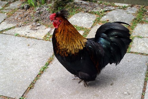 Exmoor National Park