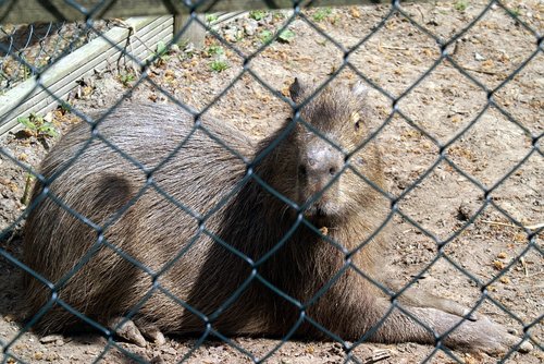 Exmoor National Park