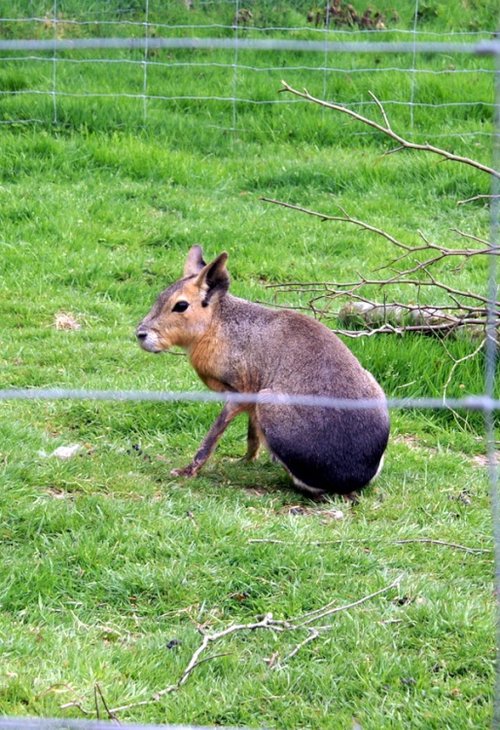 Exmoor National Park