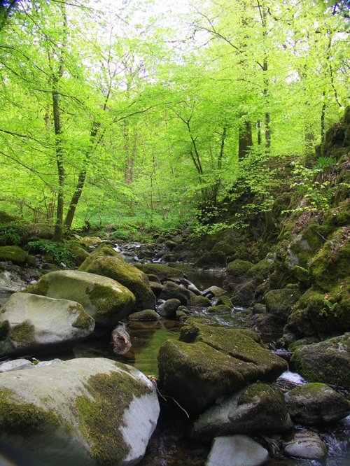 Stockghyll Falls, Ambleside