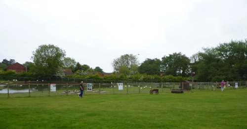 The Hillside Animal & Shire Horse Sanctuary