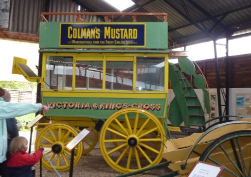 The Hillside Animal & Shire Horse Sanctuary