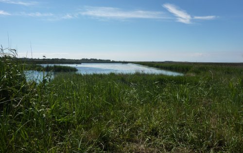Titchwell Marsh Nature Reserve