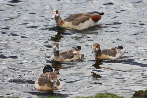Whitlingham Country Park