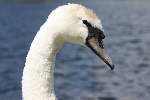 Whitlingham Country Park