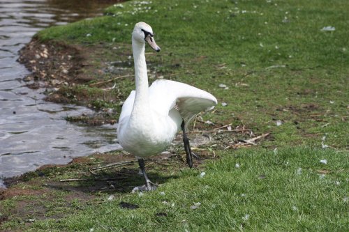 Whitlingham Country Park