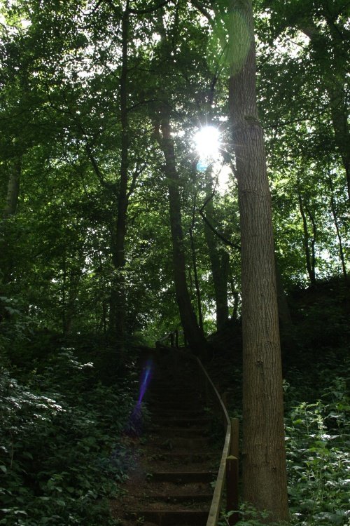 Whitlingham Country Park