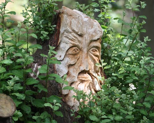 Whitlingham Country Park