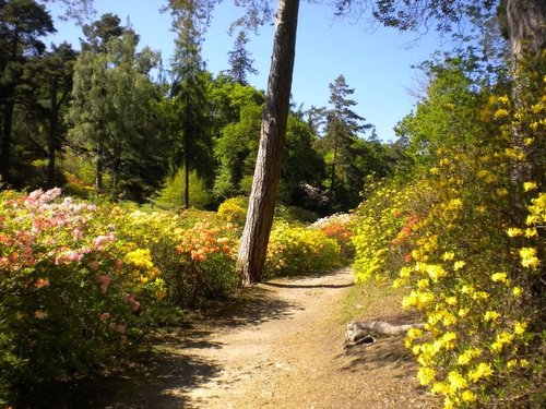 Leonardslee Gardens