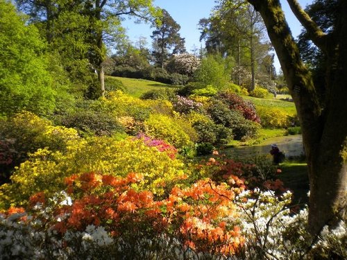 Leonardslee Gardens
