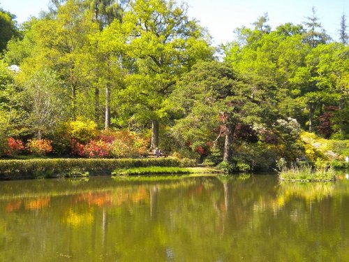 Leonardslee Gardens
