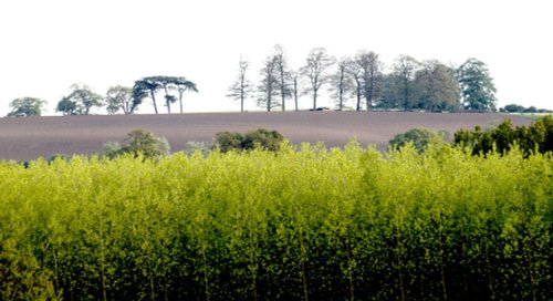 View south from Steeple Claydon, Bucks.