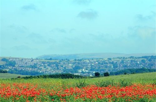 Brighton from the Dyke