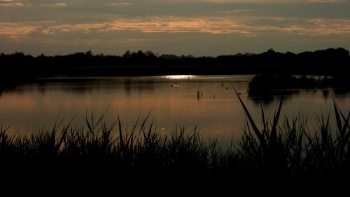 Sunset at Strumpshaw Fen