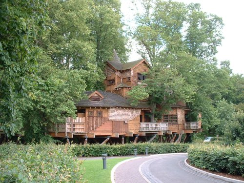 Tree House, Alnwick Gardens 5 July 2007