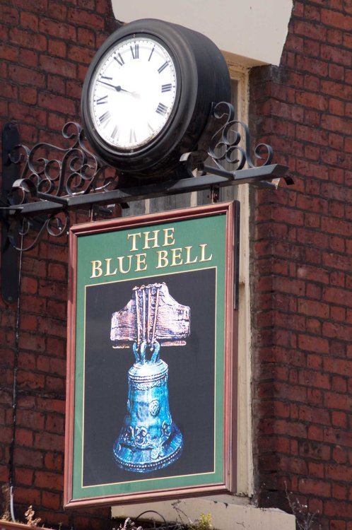 The Bluebell