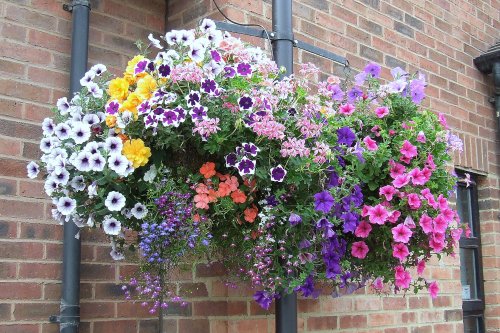Floral display, Newent