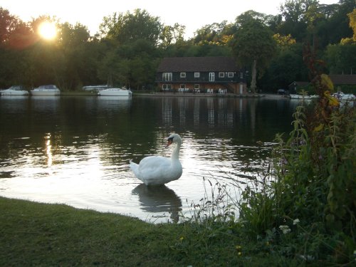 The Thames at Hurley
