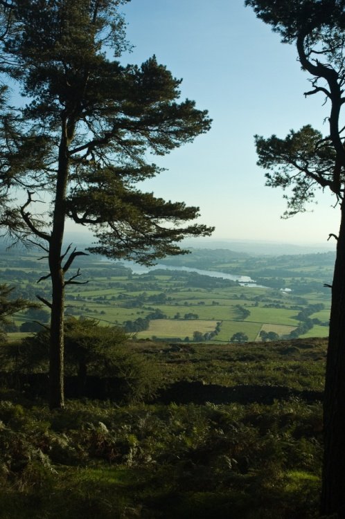 Tittesworth Reservoir from The Roaches