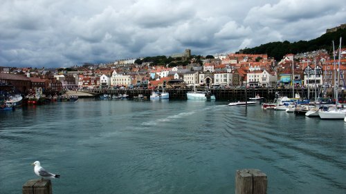 Harbour in the afternoon