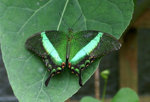 Wish I knew the names.