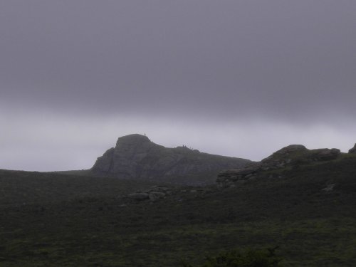 Dartmoor National Park
