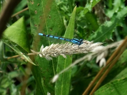 Whitlingham Country Park
