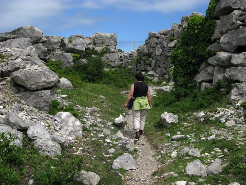 Tout Quarry Sculpture Park