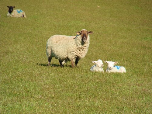 Someone ought to tell No.44 about his personal hygiene!