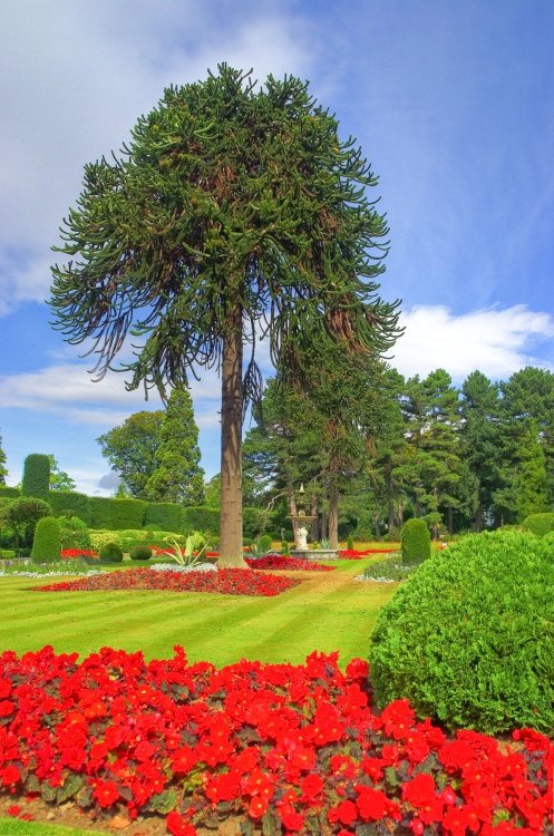 Brodsworth Hall and gardens, South Yorkshire