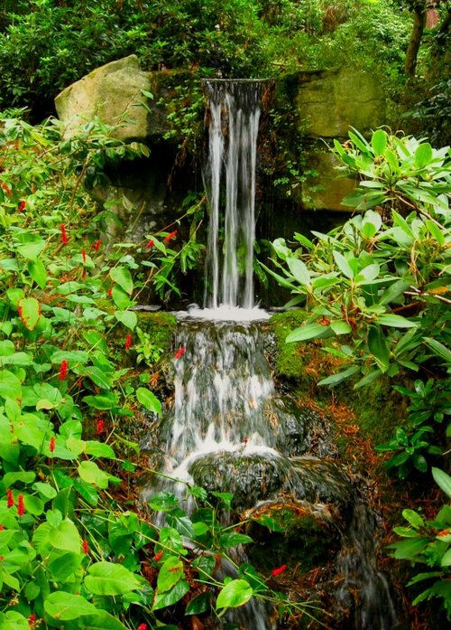 Compton Acres Gardens