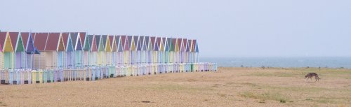 Beach huts