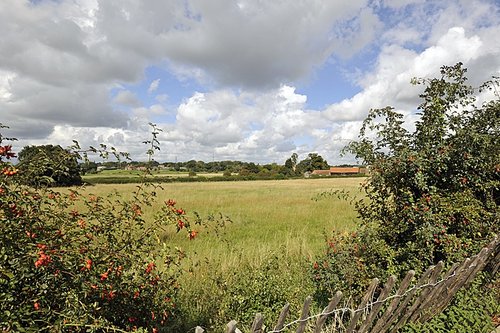 View from Vivian Gardens