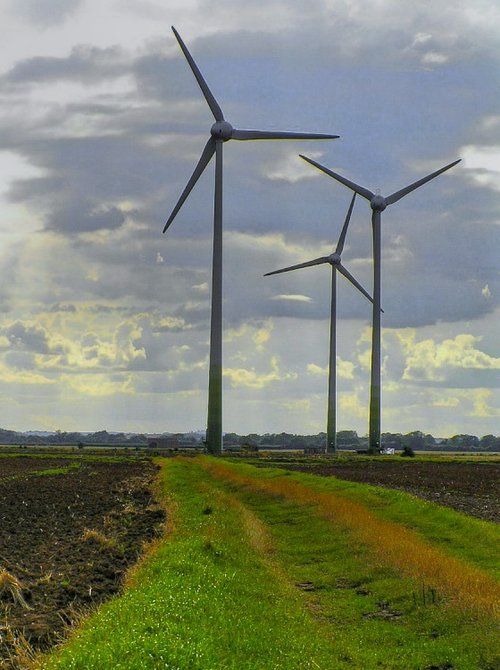 "Wind farm Mablethorpe" by Mick Carver at