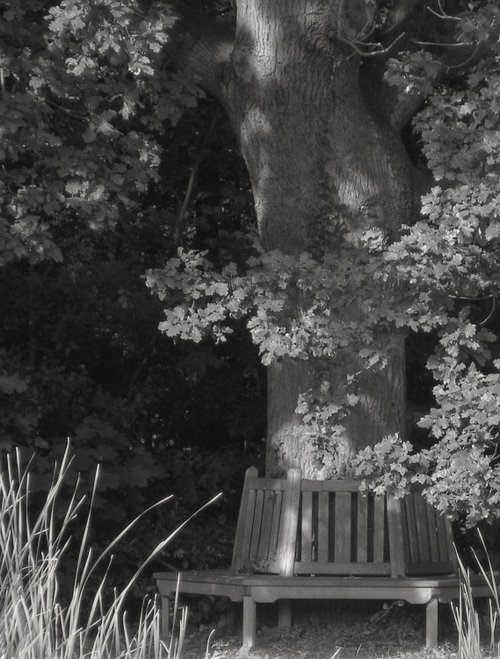 Pictures of Great Warley, Essex, England England Photography & History