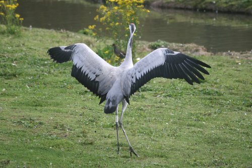 Washington Wetlands Centre