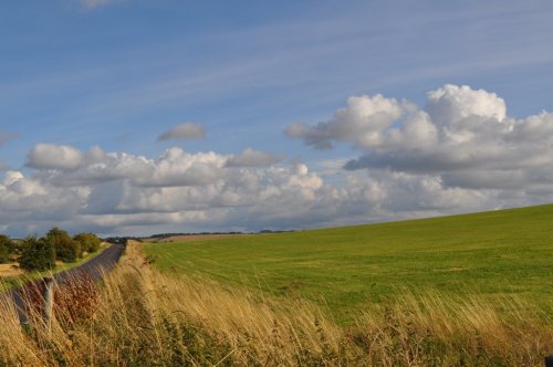 Avebury field