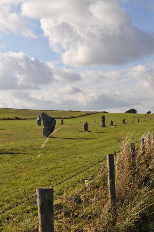 The Avenue, Avebury, Wiltshire