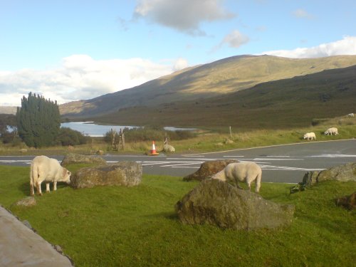 Snowdonia