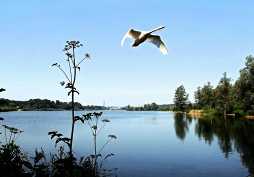 Whitlingham Country Park